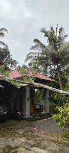 IMG-20211122-WA0047