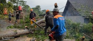 IMG-20220212-WA0099
