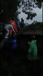 IMG-20220212-WA0134