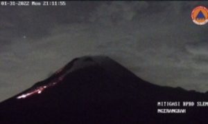 IMG_20220201_100917