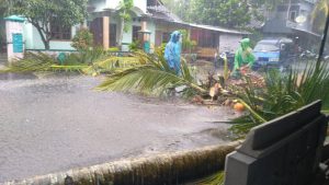 IMG-20220329-WA0240