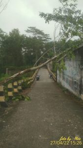 IMG-20220427-WA0048
