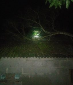 IMG_20220602_194127