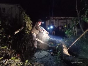 IMG-20221008-WA0068