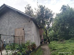 IMG_20221027_080849
