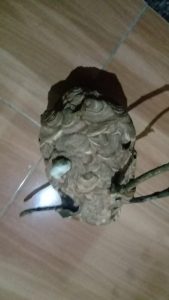 IMG-20230102-WA0078