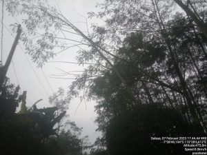 IMG-20230207-WA0061