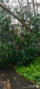 IMG-20230208-WA0074
