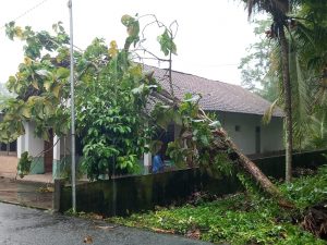 IMG-20230217-WA0059