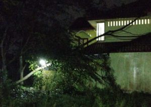 IMG_20230208_090301