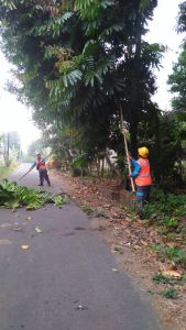 IMG-20230705-WA0009