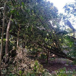 IMG-20240122-WA0018