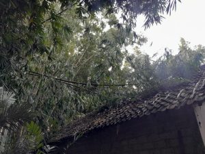 IMG-20240123-WA0017