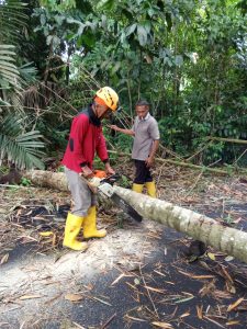 IMG-20240126-WA0072