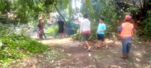IMG-20241103-WA0085