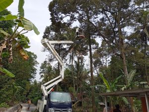 IMG-20241110-WA0075