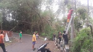 IMG-20241122-WA0257
