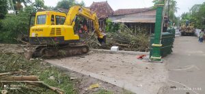 IMG-20241123-WA0069
