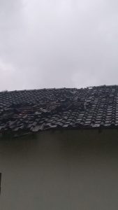 IMG-20241130-WA0100