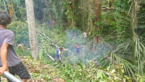 IMG-20241201-WA0039