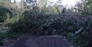 IMG-20241219-WA0001