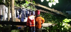 IMG_20250311_190431