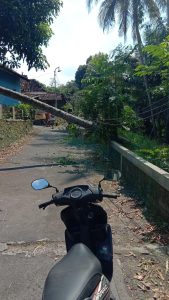IMG-20250711-WA0015
