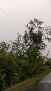 IMG-20250821-WA0043