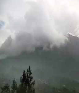 Screenshot_20251102-124243_1
